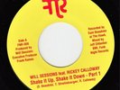 WILL SESSIONS f. RICKEY CALLOWAY Shake It Up Shake It Down FNR New Funk 45 