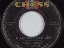 Northern Soul 45 BILLY STEWART A Fat Boy Can Cry CHESS HEAR
