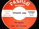Bay Area FUNK/SOUL 45 CALIF. SOUL EXPLOSION The Feeling PASHLO  LISTEN