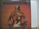 EAST OF EDEN / MERCATOR PROJECTED - Japan LP ORIG