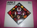EXCELLENT + UK FONTANA LP - FLAMING YOUTH - ARK 2