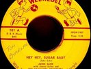 JOHN SUHR: HEY HEY, SUGAR BABY, WEE REBEL ROCKABILLY 45