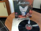 ANATHEMA Eternity LP MY DYING BRIDE GATHERING 1st press ORIG w. inner TOP RARE