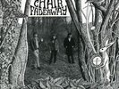 Red Chair Fadeaway – Curiouser and C...Ltd #482/500 LP PSYCH FOLK / SUN DIAL NEW