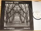 IAN BRIGHTON   MARSH GAS   RARE UK PRIVATE AVANT JAZZ PROG PSYCH FOLK LP 1977