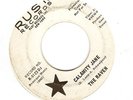 THE RAVEN Calamity Jane / Now She's Gone 45 RUST PROMO PSYCH