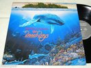 The Beach Boys - Summer In Paradise, Korea LP.