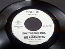 The Ragamuffins Fun We Had / Don't Be Gone Long Vinyl 7