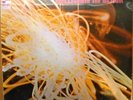 BLUE MITCHELL - COLLISION IN BLACK LP - SEALED BLUE NOTE BST 84300