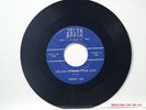WIBBY LEE  I'M LOST WITHOUT YOUR LOVE//PLEASE RUN ME OFF  JALYN RECORDS 214 1965