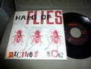 HALO OF FLIES Richies Dog 7