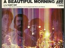 THE YOUNG RASCALS   A BEAUTIFUL MORNING    PICTURE SLEEVE + 45