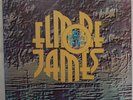 ELMORE JAMES To Know A Man ORIG UK Blue Horizon M- HEAR double LP blues SUPERB