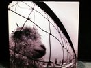 PEARL JAM VS.  ORIGINAL US 1993 LP  NM UNPLAYED GATEFOLD w/INNER