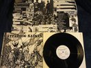 BATTALION OF SAINTS  FIGHTING BOYS  RARE 1982 PUNK HARDCORE  MINT POSTER INSERT