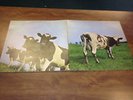 PINK FLOYD. ATOM HEART MOTHER. ORIGINAL HARVEST/GRAMOPHONE. EX+GATEFOLD & VINYL.