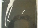 Scratch Acid - s/t Rare Original Rabid Cat LP w/Insert Jesus Lizard
