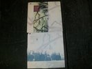 Toad The Wet Sprocket Pale LP GREEN MARBLE VINYL RARE