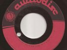 JOHN DOE & THE ACETATES:FISTFUL OF FUZZ Purple Haze