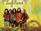 GROWERS OF MUSHROOM LEAF HOUND AKARMA 180 G LP LIM 500 LAST COPIES LEFT  OOP
