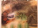RARE MISPRESS - PINK FLOYD A Saucerful of Secrets /TOWER LP/Wild in the Streets