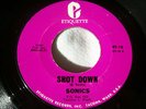 1965 GARAGE--SONICS--SHOT DOWN / DON'T BE AFRAID OF THE DARK--ETIQUETTE 18