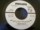 1966 NEW YORK CITY GARAGE--QUADRANGLE--SHE'S TOO FAMILIAR NOW--PHILIPS, PROMO