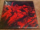 CATHARSIS passion LP scorched earth die young amebix tragedy trial gehenna sxe