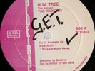 12 INCH / THE RADICALS / RUM TREE / LISTEN
