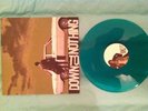 DOWN TO NOTHING save it LP color RARE terror cold world backtrack leeway bane