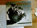 Nattura MAGIC KEY rare Iceland psych rock pokora