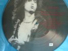 White Summer by Led Zeppelin *** VERY RARE PICTURE DISC ***