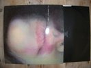 PJ HARVEY - 