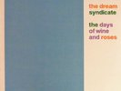 DREAM SYNDICATE Days of Wine and Roses LP NM/OOP 1982 Debut MAZZY STAR Punk LA