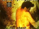 BRUCE SPRINGSTEEN-THE GHOST OF TOM JOAD LP VINILO 1995 (HOLLAND) B-B