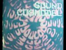 SOUND COSMODEL Comp LP 1984 Orig JAPAN NWW Amos & Sara JOHN BENDER DIY Synth NM