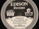 Edison 52422, Billy Murray and Walter Scanlan     E+    78 rpm