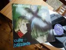 CUBY + BLIZZARDS DESOLATION NL BLUES/PROG. TOP RARITY