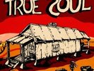 VARIOUS**TRUE SOUL: DEEP SOUNDS/LEFT OF STAX**4 LP SET