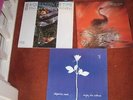 Depeche Mode various Vinyl  ( including signed single)
