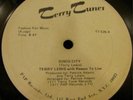 TERRY LEWIS Disco City 12