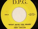 TERRY SINCLAIR northern soul 45 on D.P.G. “What Have You Heard” nice HEAR