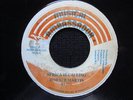 AFRICA IS CALLING  /  HORACE  MARTIN  orig  MUSICAL  AMBASSADOOR  7 in  1981