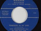 Hillbilly Country 45 CECIL BRANDENBURG Teardrops In My Eyes OZARK HEAR