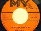 THE ROMANS 45 YOU DO SOMETING TO ME OBSCURE PHASING PSYCH GARAGE LISTEN