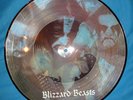 Immortal - Blizzard Beasts, PicLP, 1st Press, Burzum, Mayhem