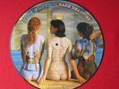 PINK FLOYD   PICTURE DISC  12
