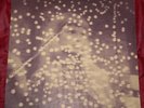 DOVES   THE CEDAR EP   VERY RARE UK INDIE ALTERNATIVE ROCK 10