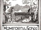Mumford and Sons Love Your Ground EP  Perfect condition Very Rare
