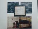 PEARL JAM LOST DOGS LP